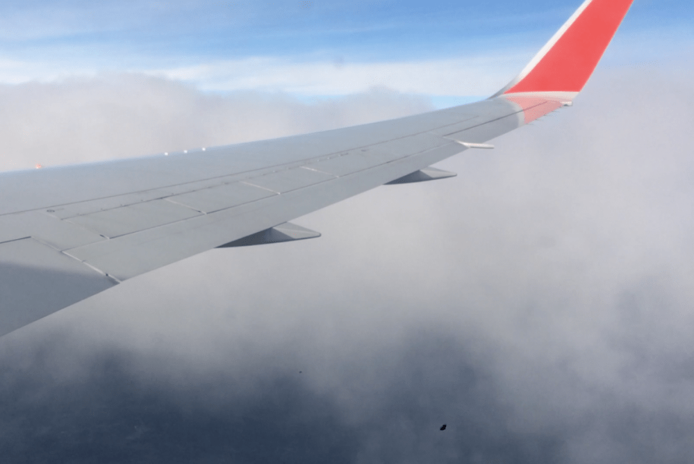 Screen Shot 2018-03-09 at 7.10.42 PM