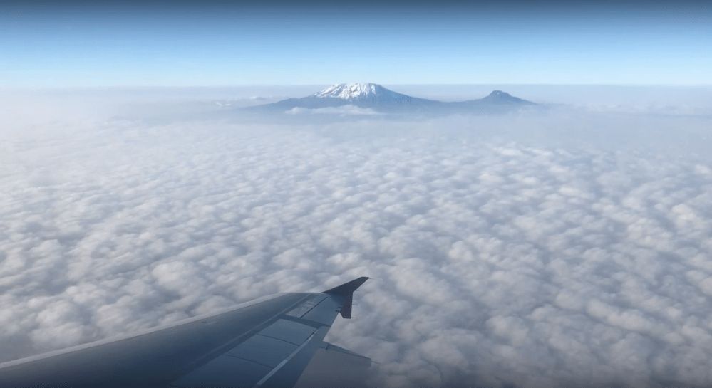 Screen Shot 2018-12-20 at 1.32.39 PM