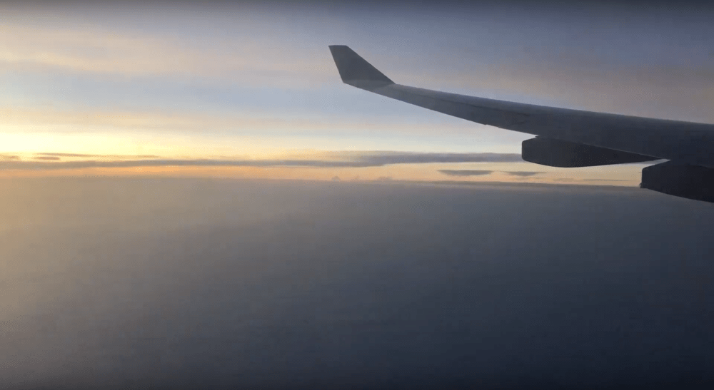 Screen Shot 2020-03-19 at 11.37.43 AM.png